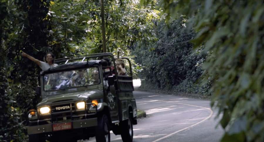 Rio de Janeiro: Jeep Tour in the Tijuca Forest - Why Tijuca Forest makes a smart half-day outing