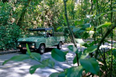 Jeep Tour in the Tijuca Forest