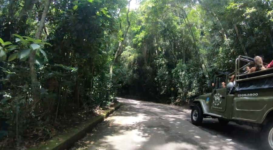 Rio de Janeiro: Jeep Tour in the Tijuca Forest - Alto da Boa Vista and the short nature walks