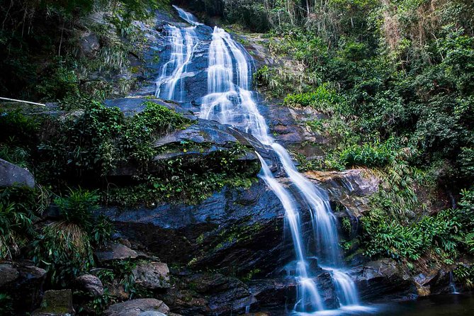 Rio de Janeiro Jeep Tour : Tijuca Forest - The open-air jeep ride and hotel pickup