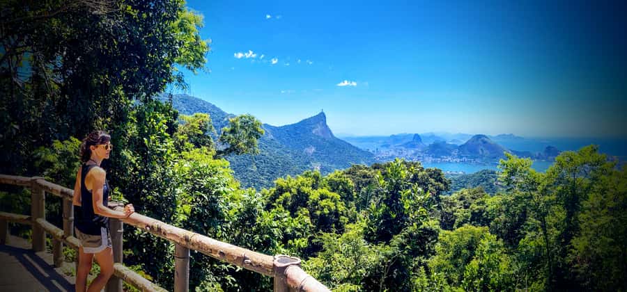 Rio de Janeiro Nature Secrets 'The Eco Citytour' - A full day of Rio’s quieter side