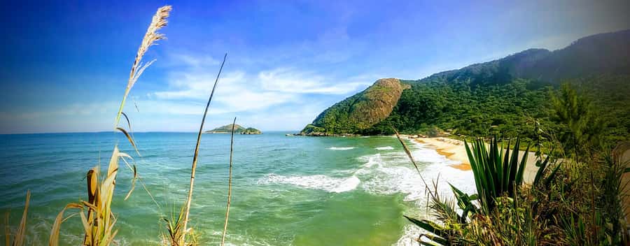 Rio de Janeiro Nature Secrets 'The Eco Citytour' - Vista Chinesa brings the rainforest into focus