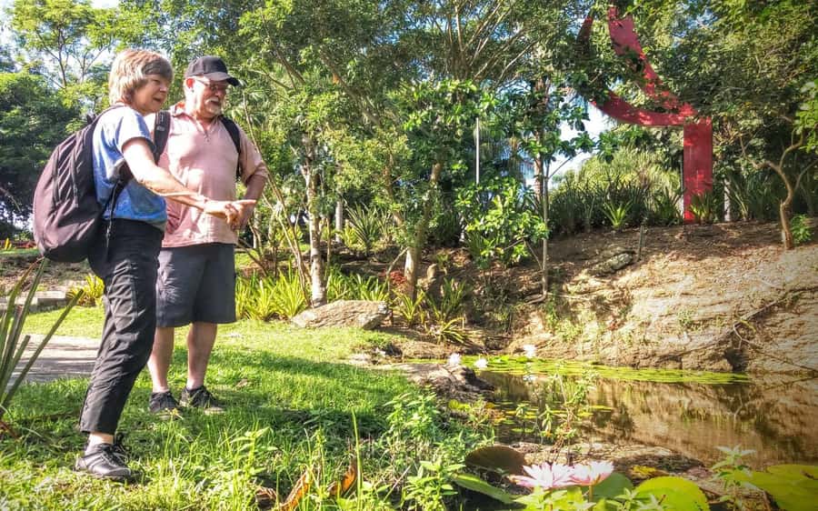 Rio de Janeiro Nature Secrets 'The Eco Citytour' - Taunay Waterfall adds sound and shade
