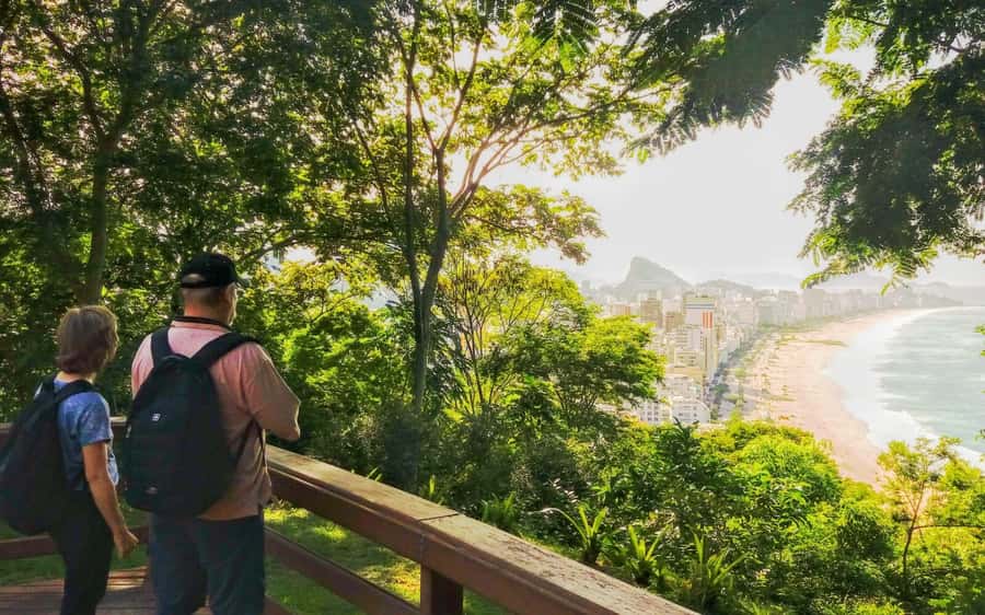Rio de Janeiro Nature Secrets 'The Eco Citytour' - Tijuca National Park and Canoas Summit