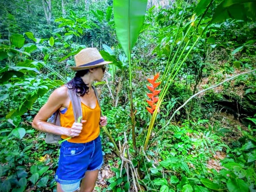 Rio de Janeiro Nature Secrets 'The Eco Citytour' - Prainha is the day’s strongest beach stop