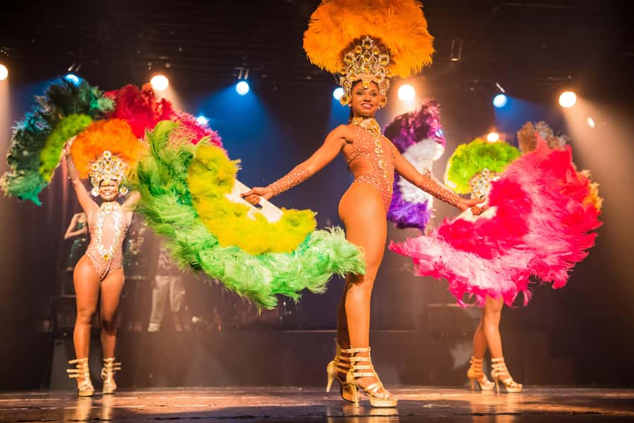 Rio de Janeiro: Samba Show Admission & Transfer - Who should book this samba show?