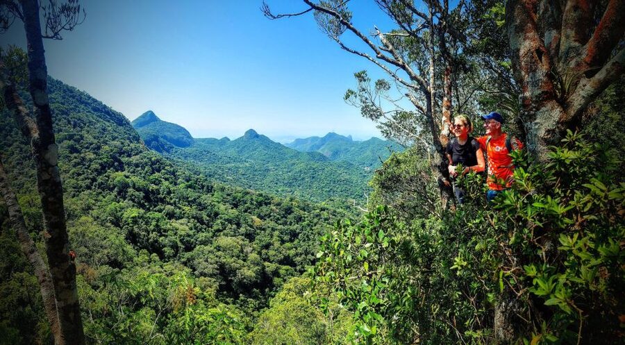 Rio de Janeiro: Tijuca Forest Challenge Hike Full-Day Trip - Guides are part of the value