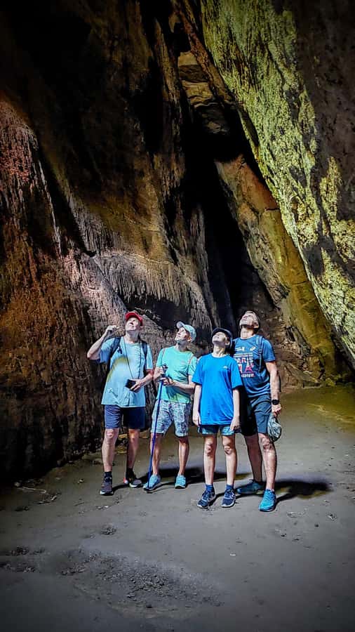 Rio de Janeiro: Tijuca Forest Challenge Hike Full-Day Trip - A full day in Rio’s great urban forest