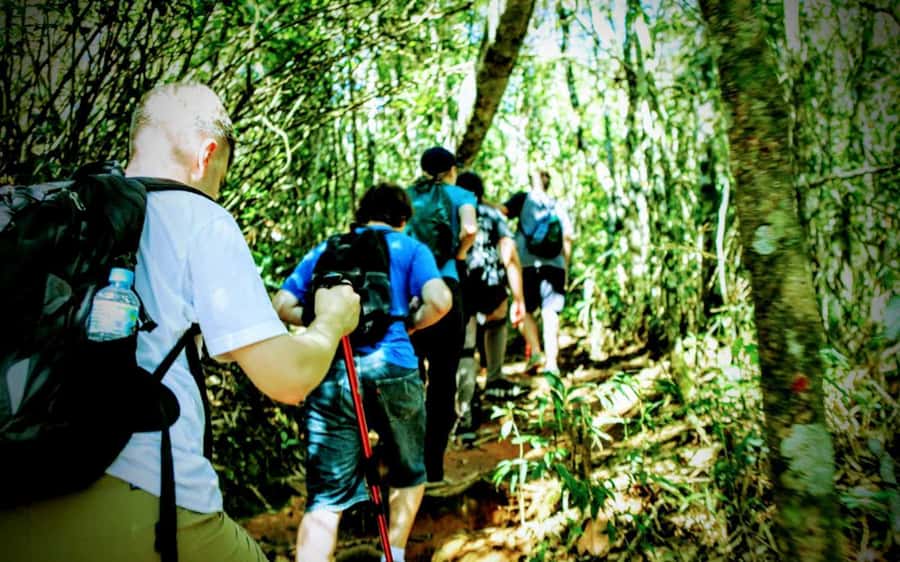 Rio de Janeiro: Tijuca Forest Challenge Hike Full-Day Trip - The climb toward Taquara Hill