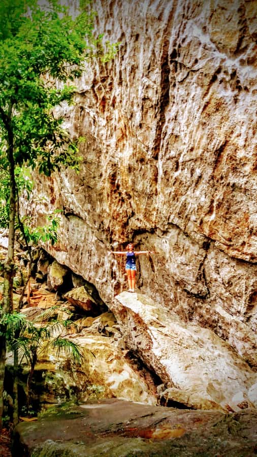 Rio de Janeiro: Tijuca Forest Challenge Hike Full-Day Trip - Grottos, Bat Cave, and rainforest detail