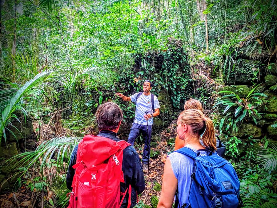 Rio de Janeiro: Tijuca Forest Challenge Hike Full-Day Trip - The waterfall finish at Cascata da Baronesa