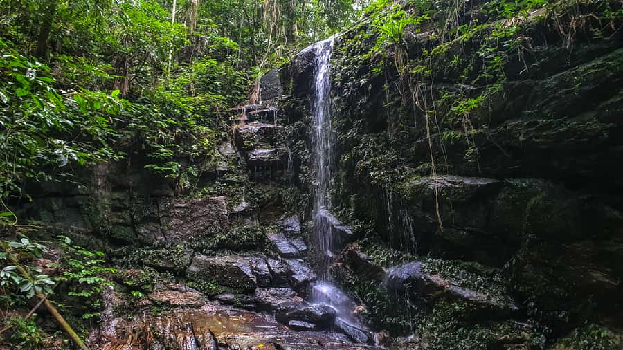 Rio de Janeiro: Tijuca Forest Waterfall of Souls Hike - Key points at a glance