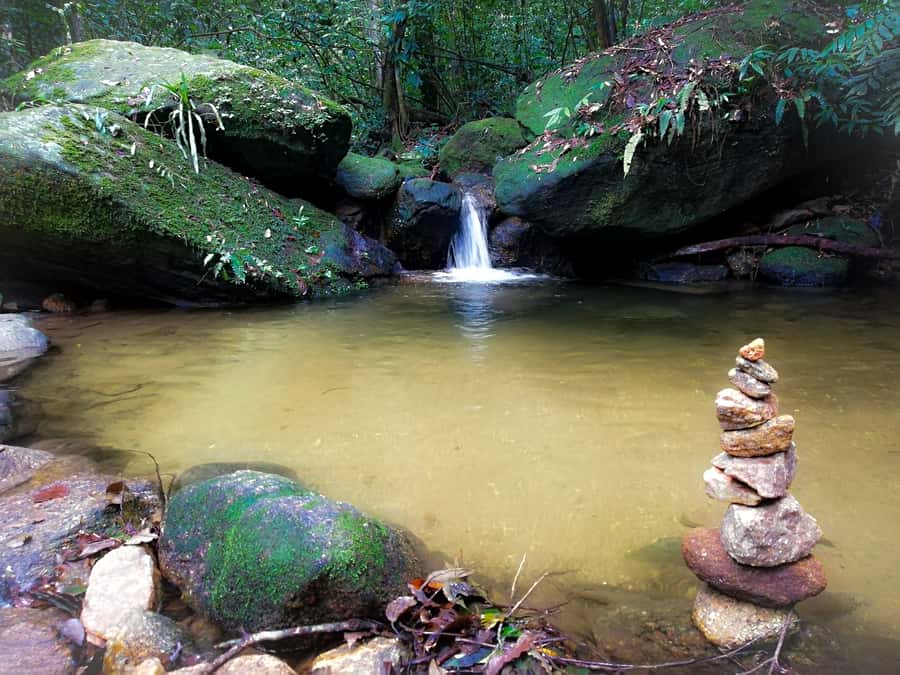 Rio de Janeiro: Tijuca Forest Waterfall of Souls Hike - Is $60 a fair price?
