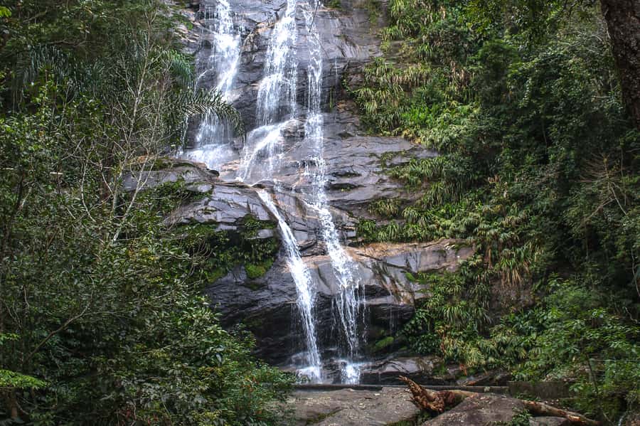 Rio de Janeiro: Tijuca Forest Waterfall of Souls Hike - Starting with breath, stretches, and quiet