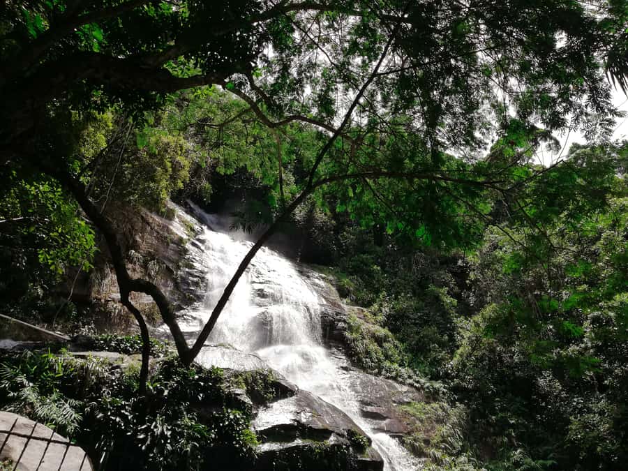 Rio de Janeiro: Tijuca Forest Waterfall of Souls Hike - Following the first stream into the forest