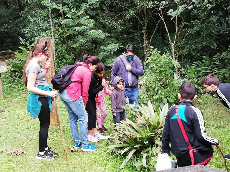 Rio de Janeiro: Tijuca Forest Waterfall of Souls Hike - Meeting at Estrada da Cascatinha, 300