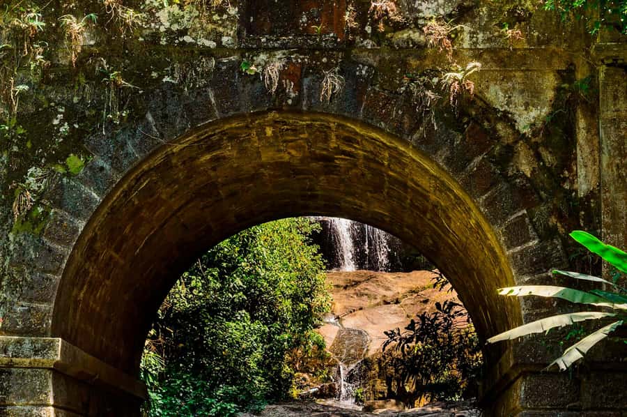 Rio de Janeiro: Tijuca National Park & Botanic Garden Tour - Should You Book the Tijuca and Botanical Garden Tour?