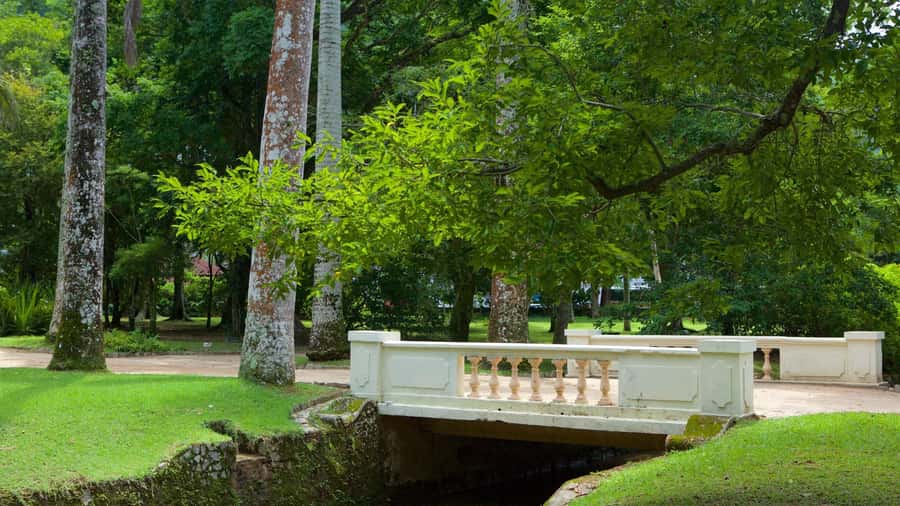 Rio de Janeiro: Tijuca National Park & Botanic Garden Tour - Taunay Waterfall and Mayrink Chapel