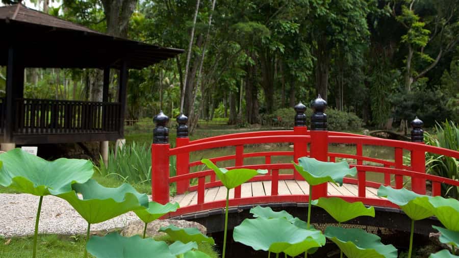 Rio de Janeiro: Tijuca National Park & Botanic Garden Tour - What Happens if Tijuca National Park Is Closed?
