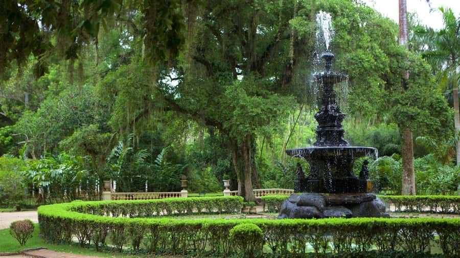 Rio de Janeiro: Tijuca National Park & Botanic Garden Tour - Is $65 a Fair Price?