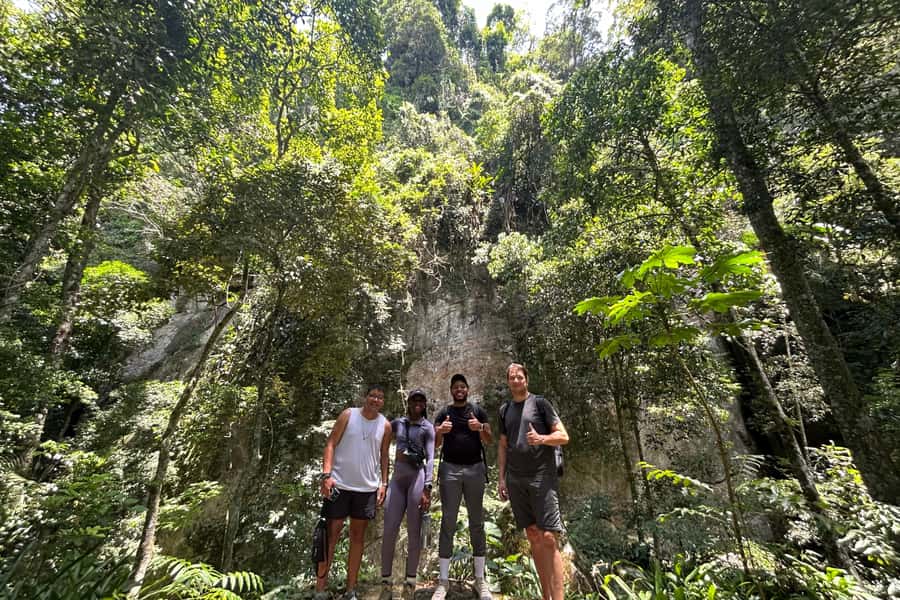 Rio de Janeiro: Tijuca National Park Tour - The return trip keeps the day flexible
