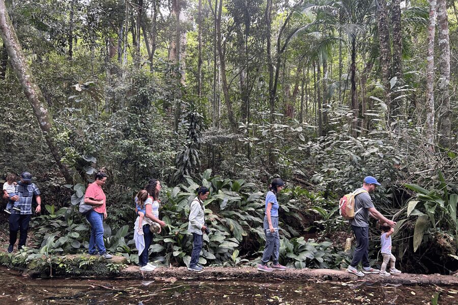 Rio de Janeiro: Tijuca National Park Tour - The visitor center adds context to the forest