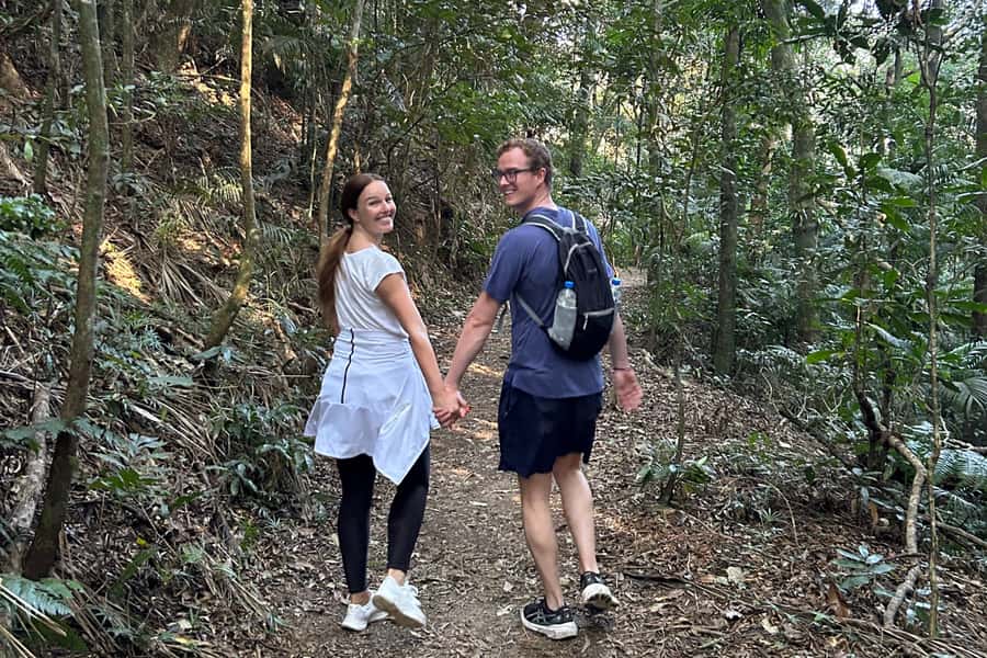 Rio de Janeiro: Tijuca National Park Tour - Waterfalls, forest paths, and the pace of the hike