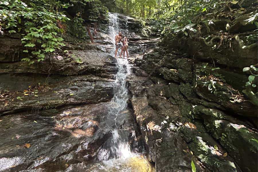 Rio de Janeiro: Tijuca National Park Tour - Wildlife is possible, but never guaranteed