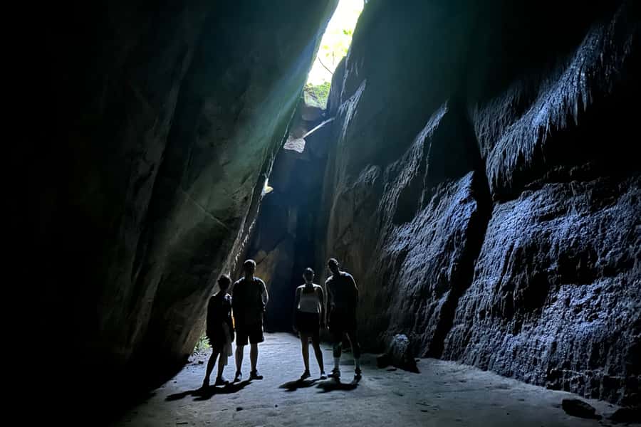 Rio de Janeiro: Tijuca National Park Tour - What the $79 price really covers