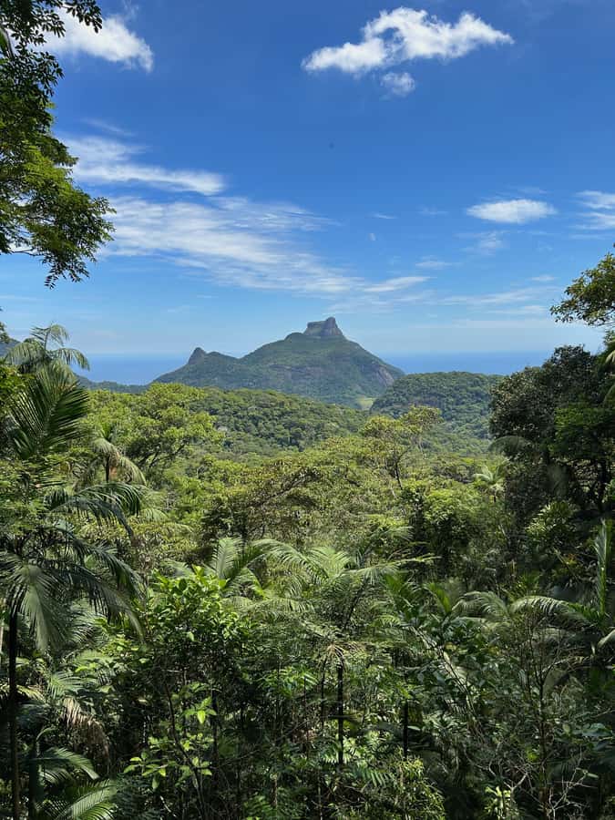 Rio de Janeiro: Tijuca National Park Tour - The first viewpoint gives you a sense of scale
