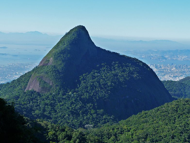 Rio de Janeiro: Tijuca Peak Guided Hike - Key points before you book