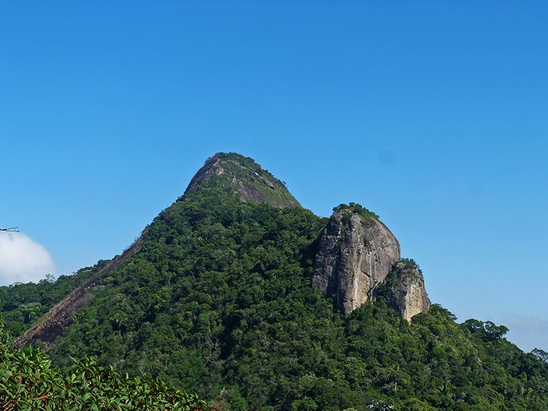 Rio de Janeiro: Tijuca Peak Guided Hike - Who should choose this hike?