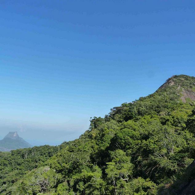 Rio de Janeiro: Tijuca Peak Guided Hike - The Tijuca National Park Museum