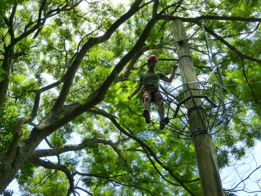 Rio de Janeiro: Zip Lining and Canopy Tree Tour - What to bring for the forest and platforms
