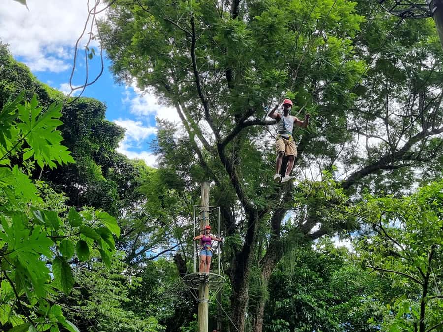 Rio de Janeiro: Zip Lining and Canopy Tree Tour - Climbing obstacles before the zip line