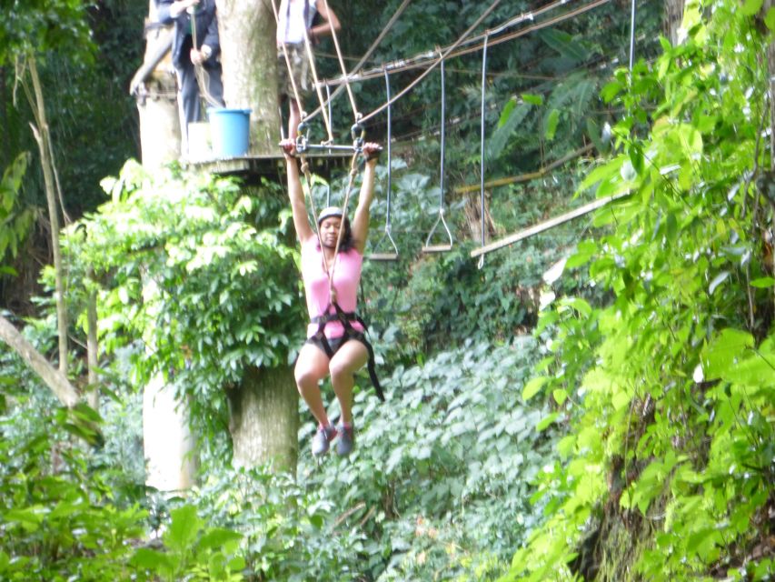 Rio de Janeiro: Zip Lining and Canopy Tree Tour - Guide quality can make or break the outing
