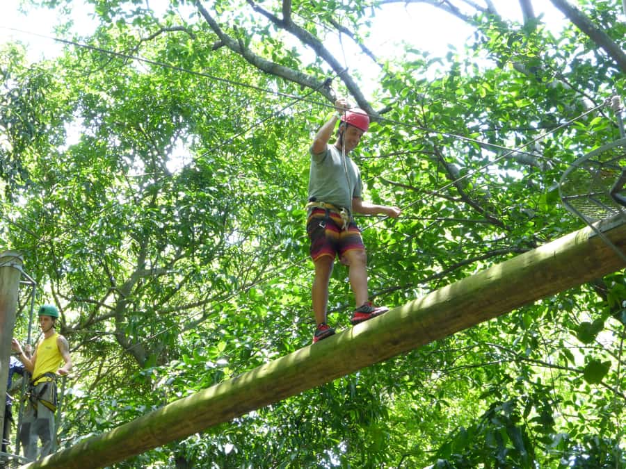 Rio de Janeiro: Zip Lining and Canopy Tree Tour - The one-hour hike and Rio viewpoints