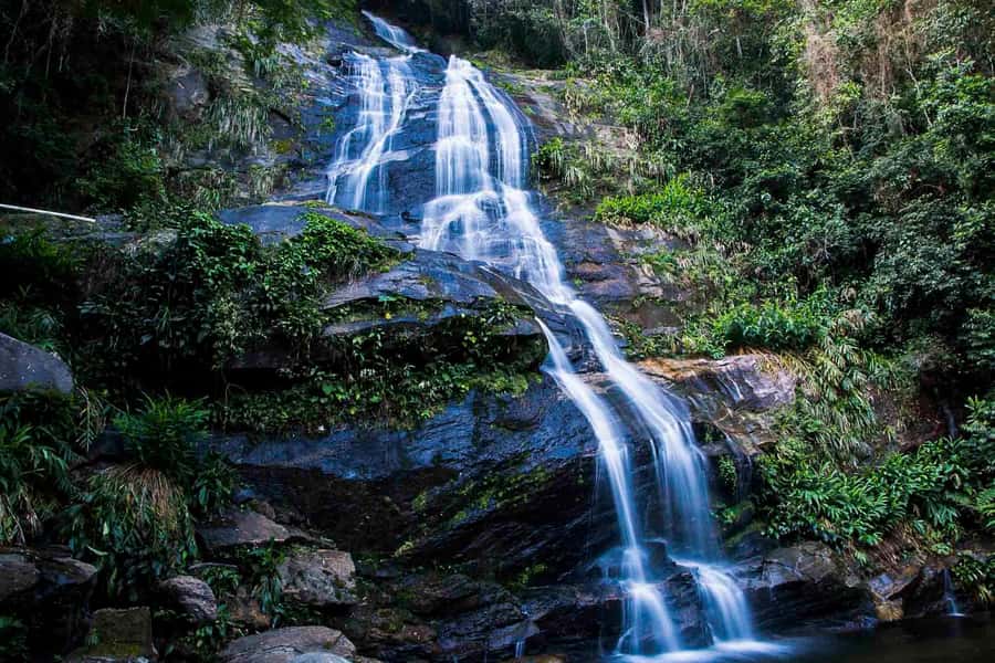 Rio: Half-Day Jeep Tour at Floresta da Tijuca - Guides make the biggest difference