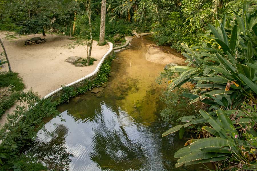 Rio: Half-Day Jeep Tour at Floresta da Tijuca - Cascatinha Visconde de Taunay and the swimming question