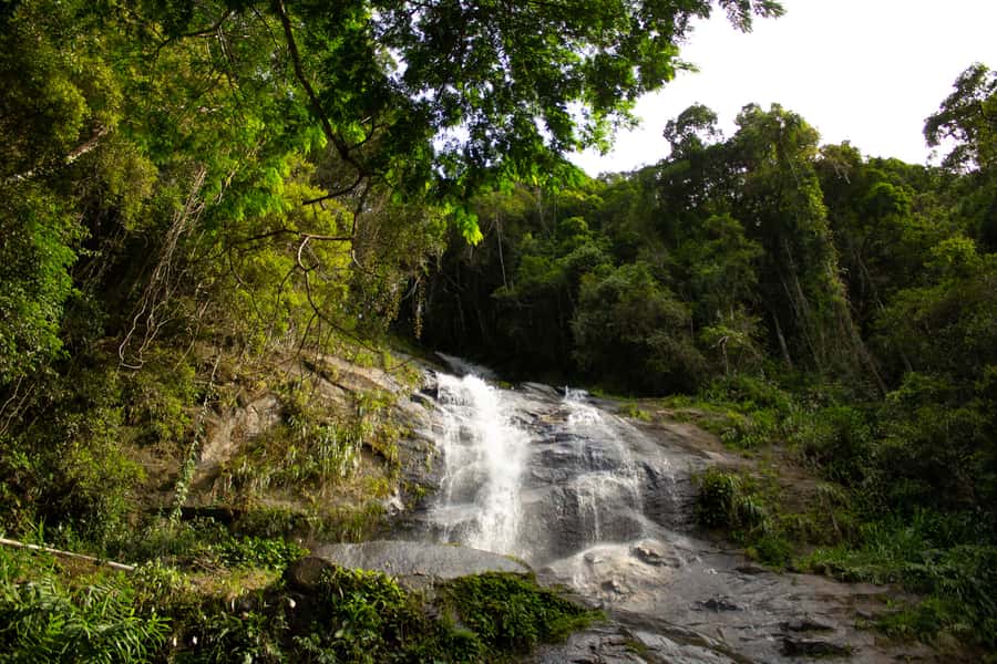 Rio: Half-Day Jeep Tour at Floresta da Tijuca - Capela Mayrink and the forest’s human story
