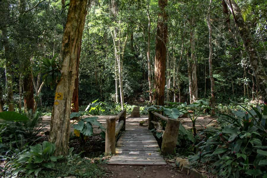 Rio: Half-Day Jeep Tour at Floresta da Tijuca - São Conrado Beach and hand-gliders overhead
