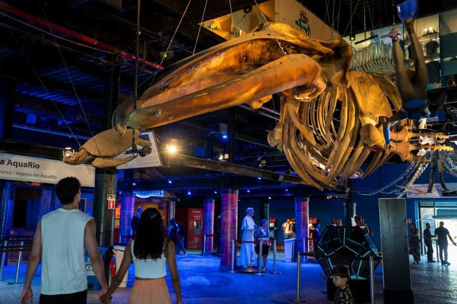 Rio: Olympic Boulevard, AquaRio and Museum of Tomorrow Tour - My practical verdict on the four-hour format
