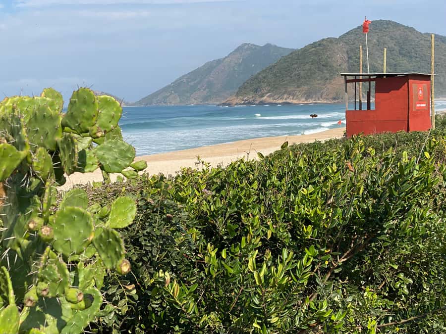 Rio: Pedra do Telégrafo Hiking & Relax in a Wild Beach - Who should book this Rio day trip?