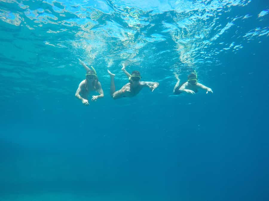 Rio: Snorkel & Swim with Turtles Tour at Tijuca Islands - Key points at a glance