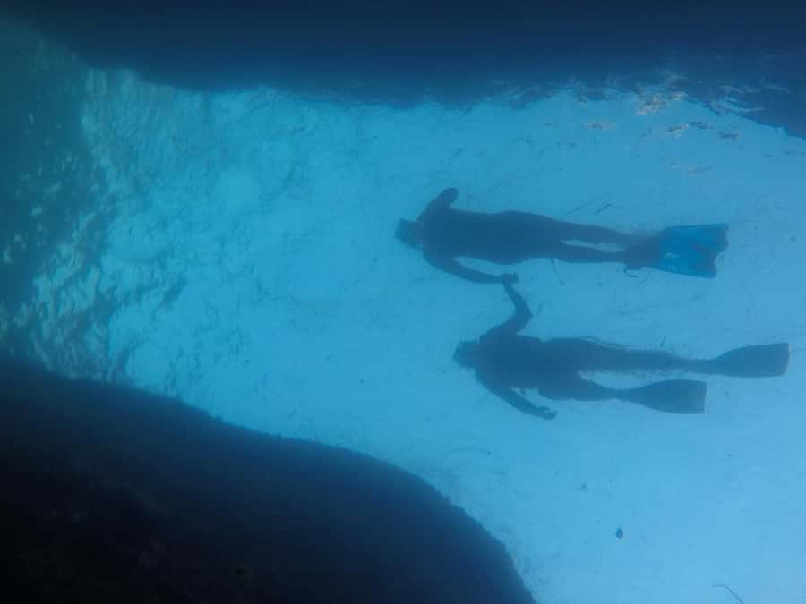 Rio: Snorkel & Swim with Turtles Tour at Tijuca Islands - Why this boat trip makes sense in Rio