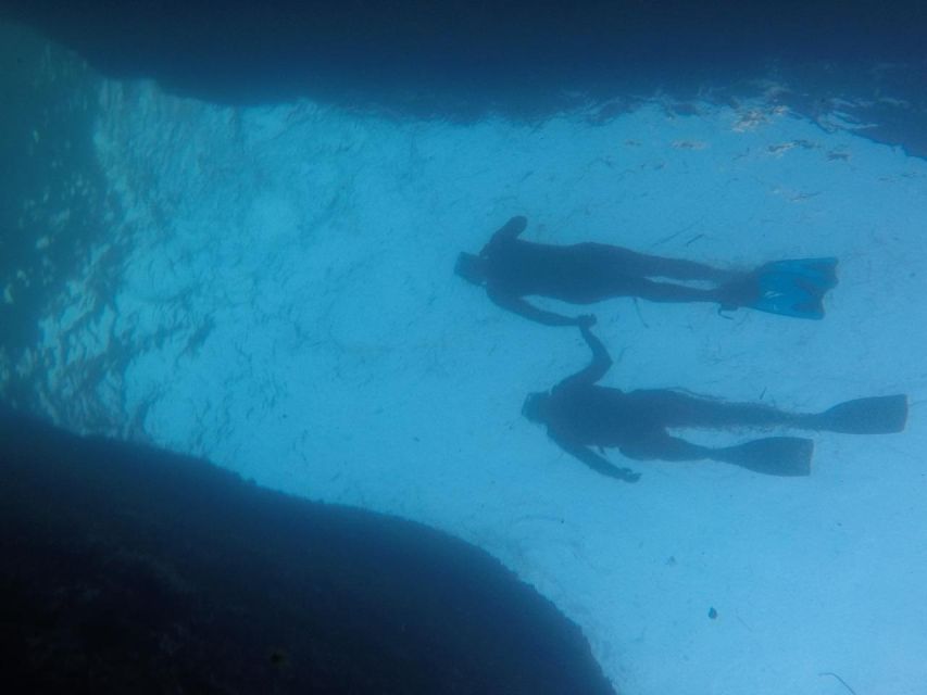 Rio: Snorkel & Swim with Turtles Tour at Tijuca Islands - Snorkeling around the Tijuca Islands