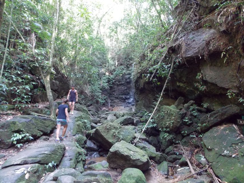 Rio: Tijuca Forest & Horto Waterfalls Circuit Tour - Key things to know before you go