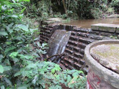 Tijuca Forest & Horto Waterfalls Circuit Tour
