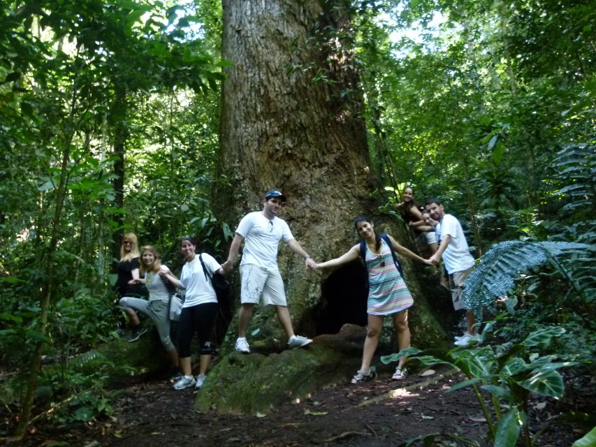 Rio: Tijuca Forest & Horto Waterfalls Circuit Tour - Chinese Lookout and forest wildlife