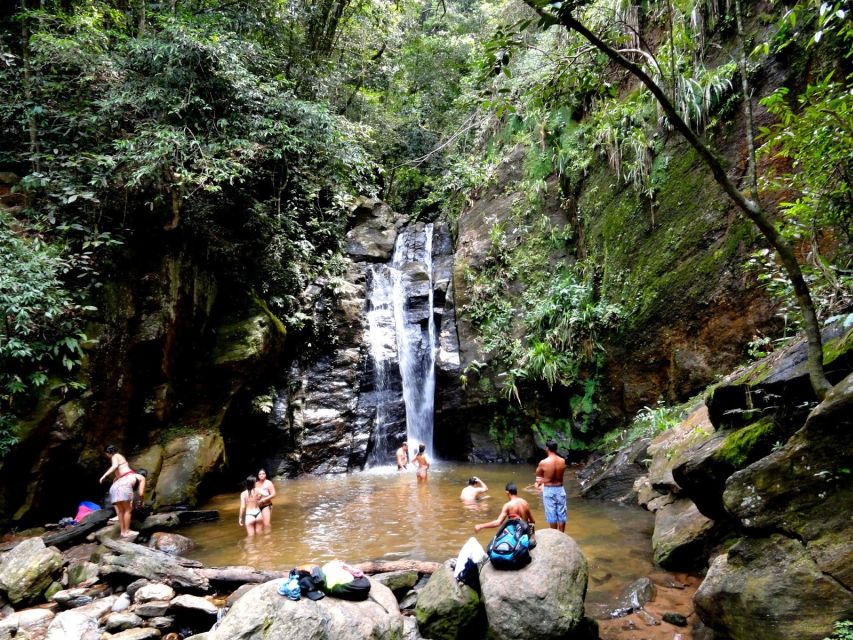 Rio: Tijuca Forest & Horto Waterfalls Circuit Tour - Guide quality is a major part of the value